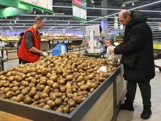 Почему цены на картофель в Подмосковье достигли исторического рекорда