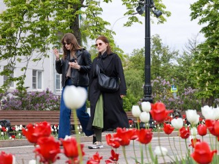 Выходные дни будут в Подмосковье облачными и теплыми