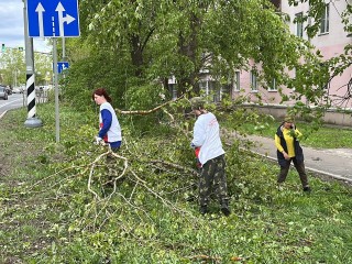 Волонтеры Клина помогают устранить последствия стихии