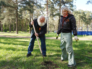 В Кузьминском лесопарке котельниковцы высадили свыше 200 молодых сосен