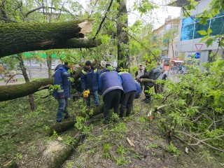 Как специалисты справлялись с последствиями непогоды в Химках