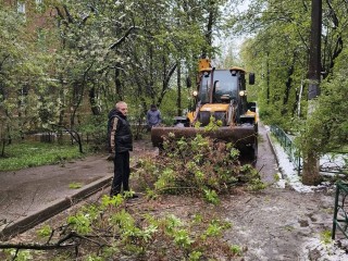 Коммунальные службы Звенигорода убирают поваленные снегом деревья