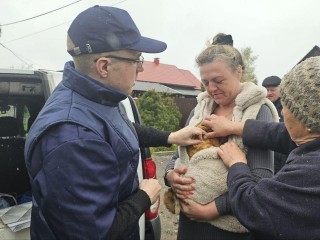 В Щепотьеве под Коломной домашних животных привили от бешенства