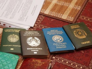 Уголовные дела возбуждены на 7 жителей Химок, ставивших мигрантов на учет
