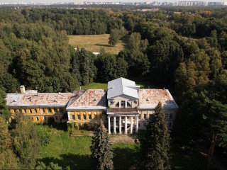 Дуб Волконских, которому 200 лет, представляет Подмосковье в конкурсе «Российское дерево»