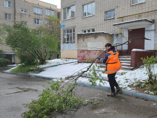 После циклона в Солнечногорске убрали 223 дерева и продолжают расчистку