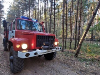 В Подмосковье объявлен повышенный уровень пожарной опасности