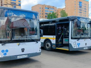 К могилам ветеранов предложили расширить бесплатный проезд