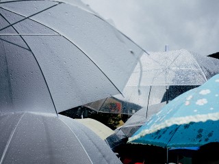 Дождь отложил открытие теплого сезона в парках Пушкинского округа