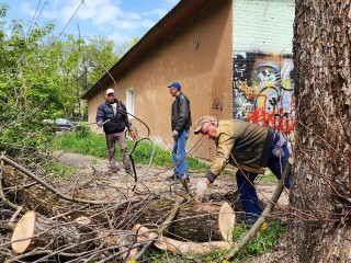 В Истре убрали опасные деревья на нескольких улицах