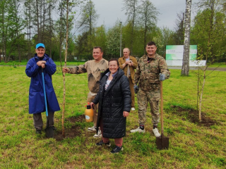 Березовую Аллею Памяти высадили в можайском парке «Ривьера»