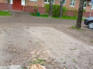 Упавшее в Наро-Фоминском дворе дерево убрали после обращения жителей