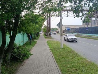 Перегородившее тротуар дерево убрали в Ивантеевке
