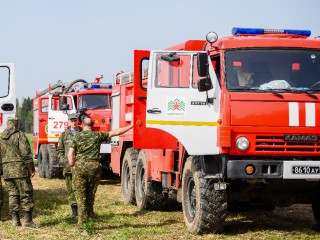 В Подмосковье объявлен I–III класс пожарной опасности