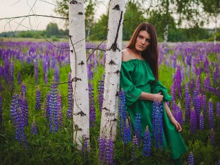 Цветущие люпины: где сделать сказочные фото в Одинцовском округе