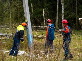 В Тарусово, Вотре, Глинки, Аймусово, Растовцах электроснабжение восстановлено