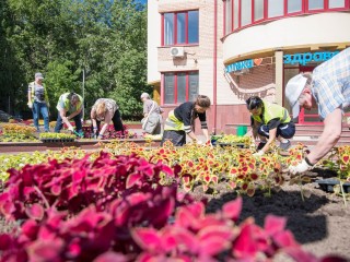 Летние краски Реутова: в городе высадят 50 тысяч цветов
