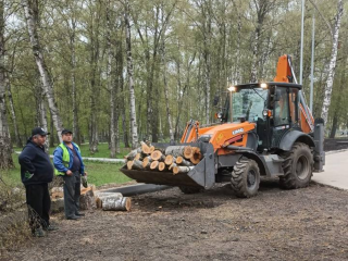 Лобня восстанавливается после непогоды: глава города рассказала о ходе работ