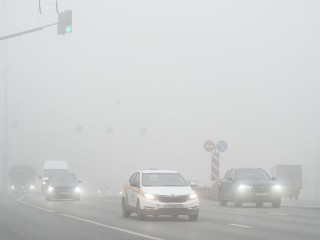 Водителей предупредили о тумане на дорогах Подмосковья утром 21 мая