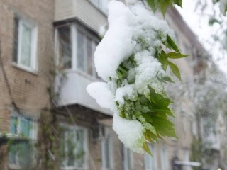 Основные последствия разгула стихии в Балашихе устранят до конца дня