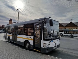 Как доехать до парка Сестрорецкий: Минтранс назвал девять автобусных маршрутов