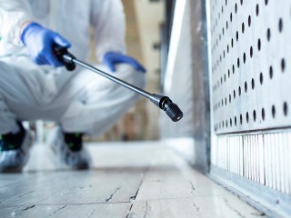 Дератизация в химкинском детском саду «Аюшка» запланирована на 24-25 мая