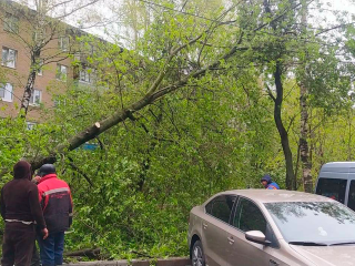 Как в Мытищах справляются с последствиями циклона