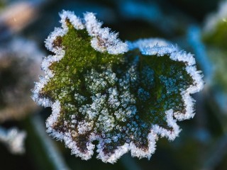 Самые морозные майские ночи прошли в Серпухове и Серебряных Прудах
