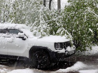 Коммунальщики Дубны вывозят с улиц и дворов поваленные деревья