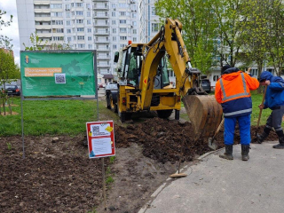 Безопасный путь к знаниям: возле гимназии №13 строят удобную пешеходную зону
