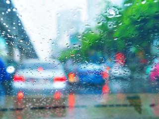 Пятая часть месячной нормы осадков выпадет во вторник в Подмосковье