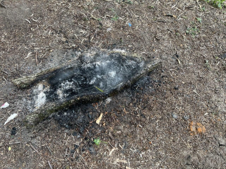 В Ленинском округе прошел рейд по охране памятника природы «Суханово»