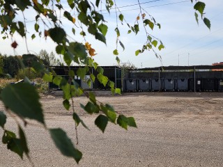 Собственника участка в Кривандине накажут за стихийную свалку