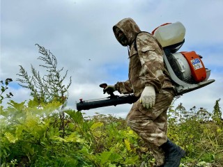 В Реутове по борщевику прошел «Торнадо»