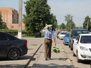 Как пережить жару рассказали сотрудники парка в Волоколамске