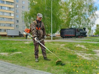 Коммунальщики Шатуры стригут зелень