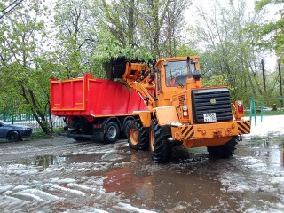 Поваленные ураганом деревья самосвалами вывозили с улиц Ивантеевки
