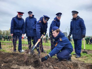 Сотрудники СК приняли участие в патриотической акции «Лес Победы»