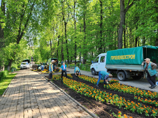Бегонии и тагетесы украсили сквер Героев труда в Королеве