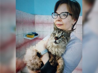 Кот-доброволец из Балашихи обрел новую семью и имя