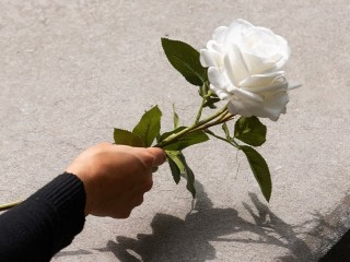 Три хулиганки испортили клумбу у стадиона в Клину
