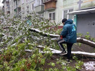 В Королеве включили отопление и убирают упавшие деревья