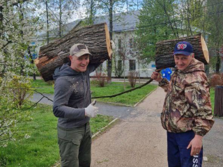 Сломанные деревья из парков и дворов Лобни вывозит спецтецтехника