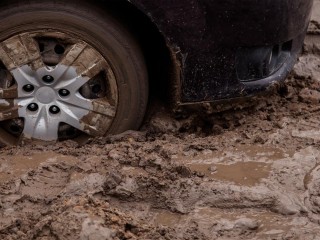 «Даю ₽15 тыс»: автомобилист-нарушитель попросил его вытащить из леса