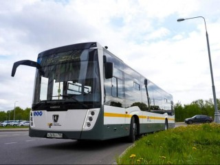 В Подмосковье в «Ночь музеев» будут курсировать автобусы маршрутов высокой культуры