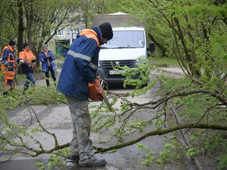 В Истре убрали более 200 деревьев после майской стихии