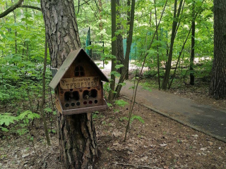 «Беличью трапезную» в городском парке Жуковского перенесли на новое место