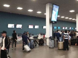 Аэропорты Шереметьево, Внуково и Жуковский возобновили работу