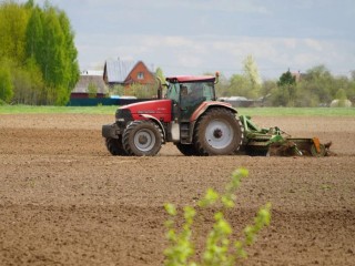 В Воскресенске начали сажать картофель, зерно и травы