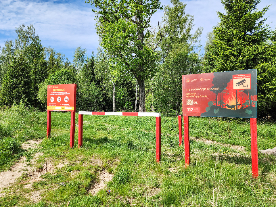 В Подольске действует запрет на посещение лесов